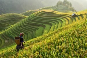 VIETNAM – 4 NIGHTS / 5 DAYS